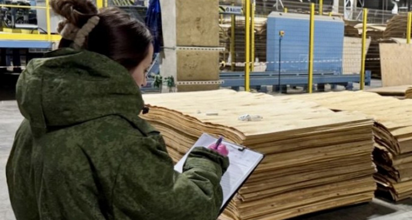 Иностранца осудили в Вологодской области за убийство в цехе своего напарника