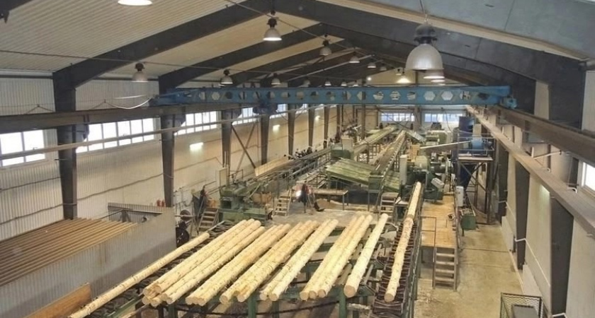 Экспорт вологодских лесоматериалов в Турцию вырос на 23%