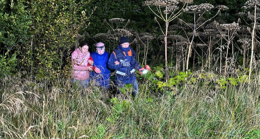 Три пенсионерки заблудились в лесах Вологодской области в один день