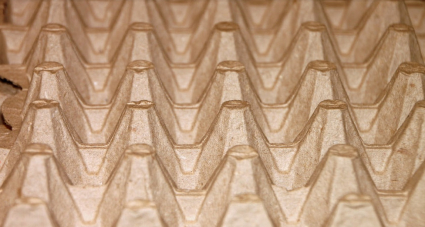 Опытные дачники не выбрасывают лотки от яиц — всю зиму горя не знают: нужны не для хранения урожая — эффект дорогого стоит