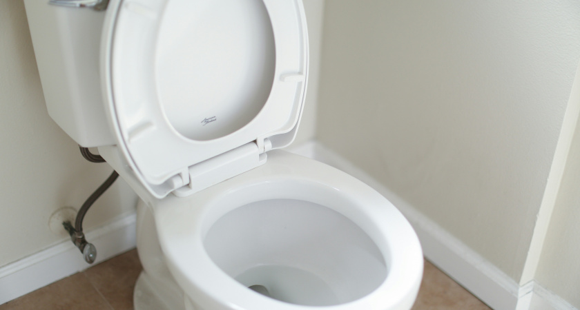 Кладем пластиковую бутылку в унитаз – сразу чистый и благоухает: копеечный лайфхак для экономных хозяек