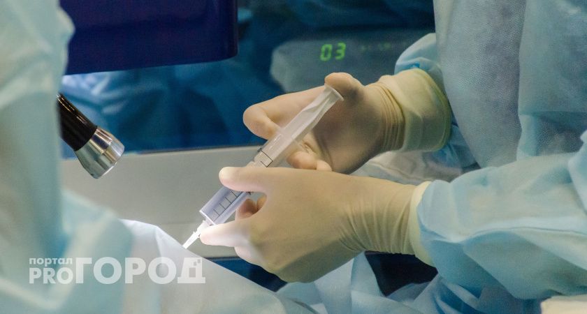 Вологодские ветеринары отмечают профессиональный праздник и юбилей службы