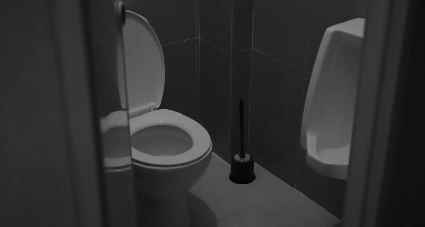 Всегда закрывайте крышкой унитаз — не только вопрос этикета, но и необходимость