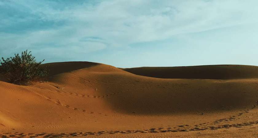 Самая большая пустыня на Земле - отнюдь не Сахара? Удивительная географическая правда