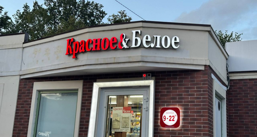 Продавец из КБ предложила консервы. Что в банке тушёнки из 87,5% мяса — честный обзор