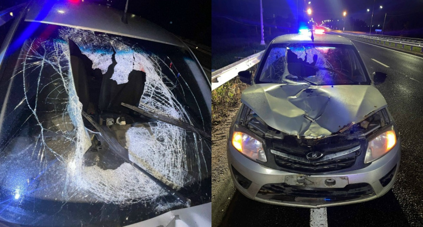 Пенсионер погиб под колесами автомобиля в Вологодской области