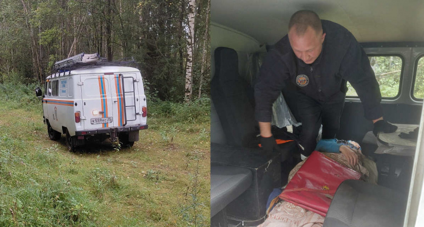 Пенсионерку с подозрением на инсульт спасли в вологодских лесах грибники