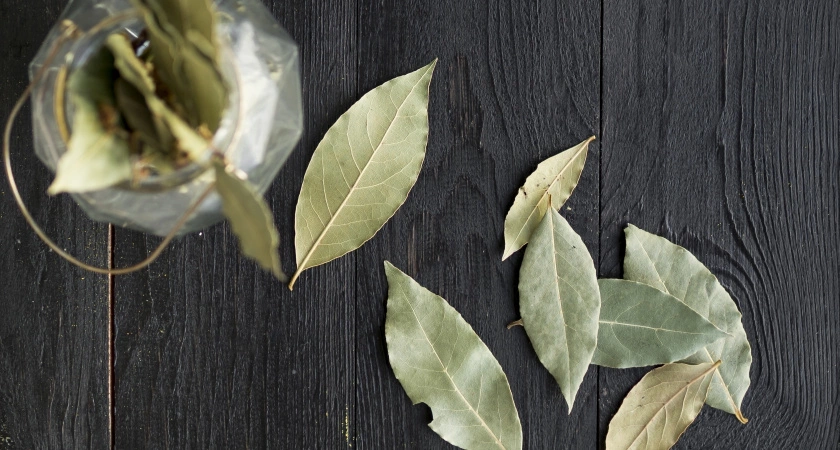 Зачем класть лавровый лист под ковер — через 24 часа заметите большие изменения: лайфхак для дома