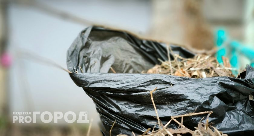 В Вологодской области 600 добровольцев очистили берег реки у монастыря