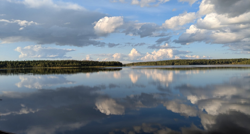 Вологодскую область ждет солнечный и теплый понедельник