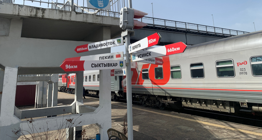 Ночью в поезде почувствовала чью-то руку у себя под подушкой, резко подскочила, а рядом ошарашенное лицо попутчицы