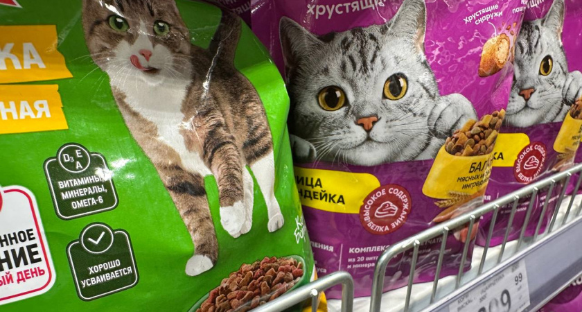 Не травите этим кошек: в Роскачестве назвали худшие марки корма для животных