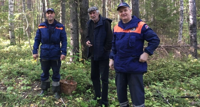 Вологодские спасатели нашли двух потерявшихся грибников, поиски третьего продолжаются