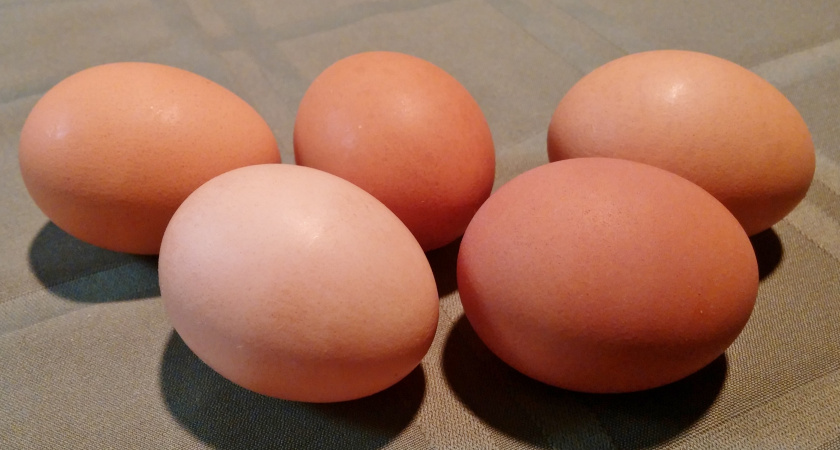 Кровинка в курином яйце: можно ли есть такие яйца или лучше выбросить