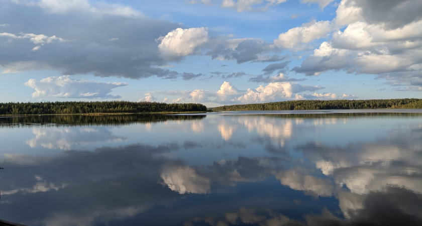 В Вологодской области в реке найдено тело пропавшей 90-летней жительницы