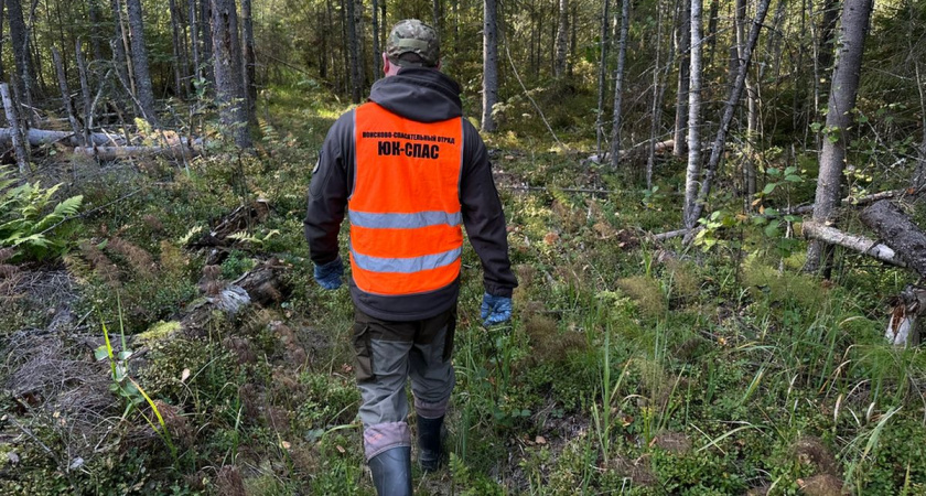 Пропавший под Вологдой пенсионер с квадроциклом нашелся спустя сутки