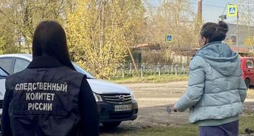 Жительница Вологодской области осуждена на 8 лет за смертельное нападение на собутыльника во время застолья