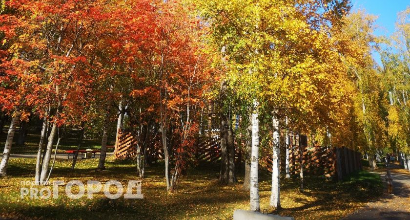 Жителей Вологодской области ждут тёплые выходные перед сменой погоды