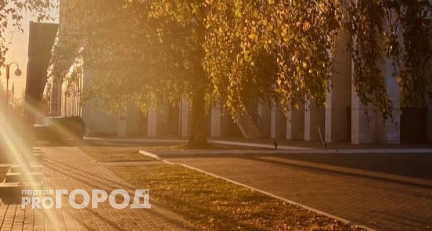 В воскресенье Вологодская область будет купаться в тепле