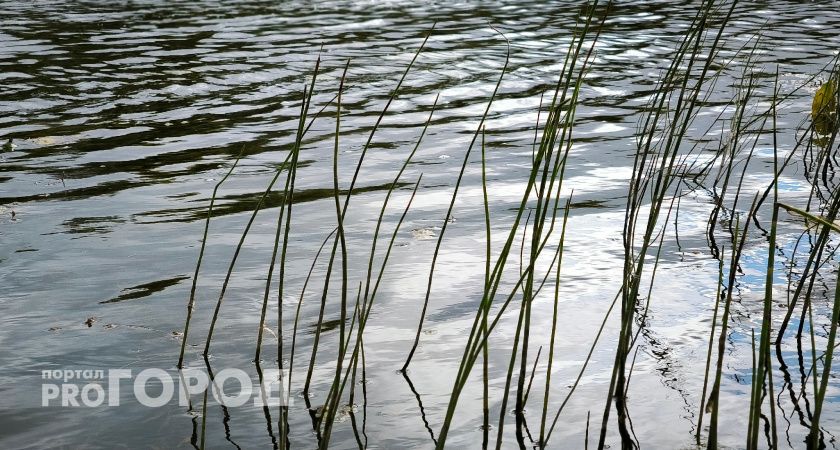 В Вологодской области снова произошла трагедия на воде