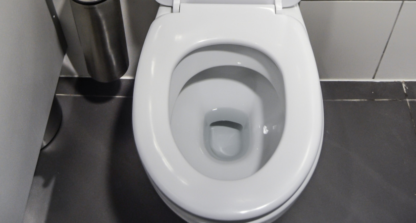 Почему японцы садятся на унитаз лицом вперед: ответ удивит