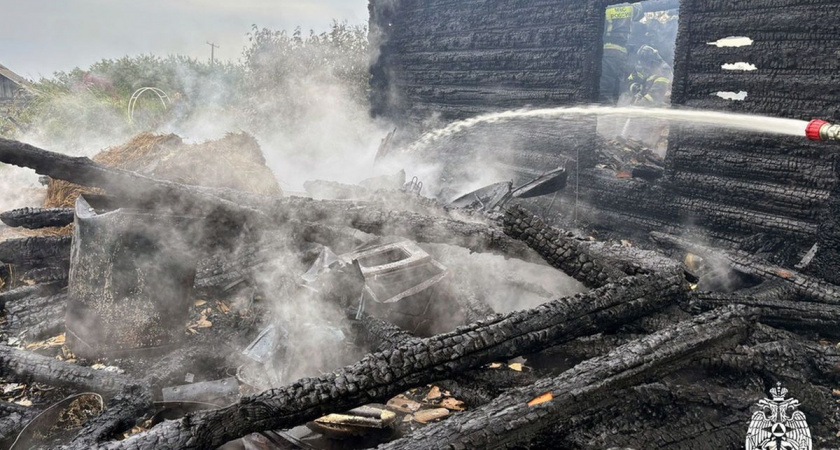 У жительницы Вологодской области сгорели дача с верандой, сарай и сеновал