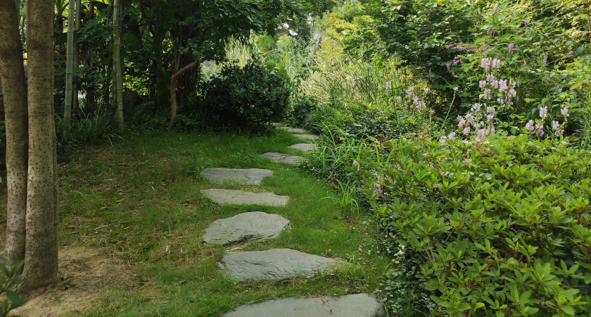 Жена предложила сделать дорожки на участке. Как мы за выходные сделали дом уютнее