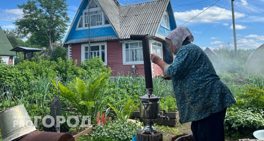 Вологодские лесники уходят на заслуженный отдых раньше срока
