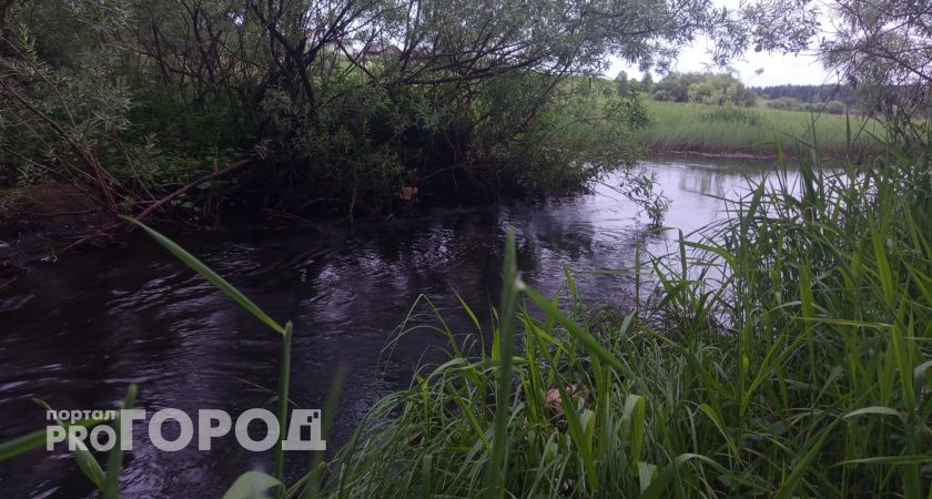 В Вологодской области снова обнаружили тело утонувшего жителя