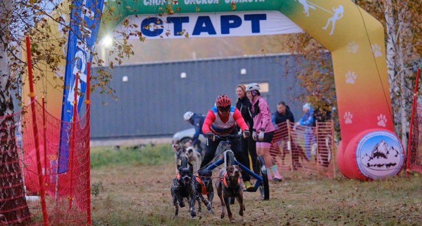 Вологжанин завоевал бронзу Кубка России по ездовому спорту в Омской области