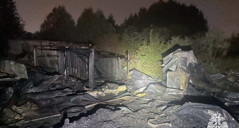 В Вологде ночью 22 специалиста тушили мощный пожар 