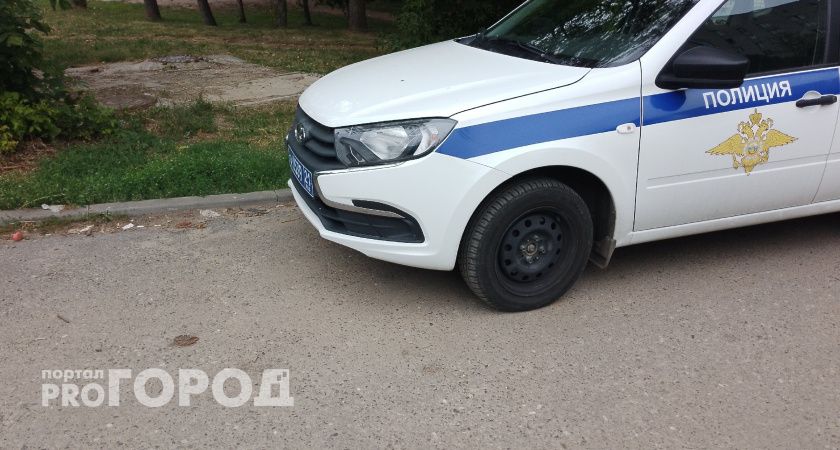 В Вологодской области полицейские поймали двоих воришек