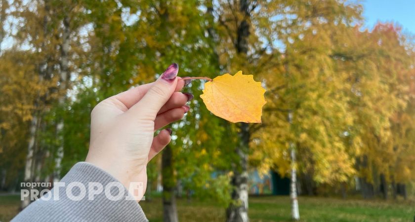 В Вологодскую область в конце сентября придут первые заморозки 