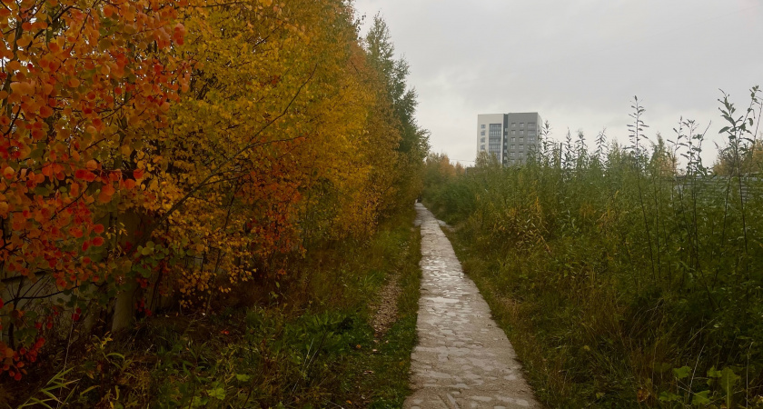 Вологодская область встречает похолодание на последних выходных сентября