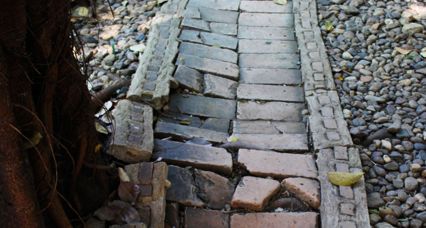 Как финны придумали уникальное покрытие для садовых дорожек: вместо рушащейся плитки, гниющего дерева и пахнущего асфальта