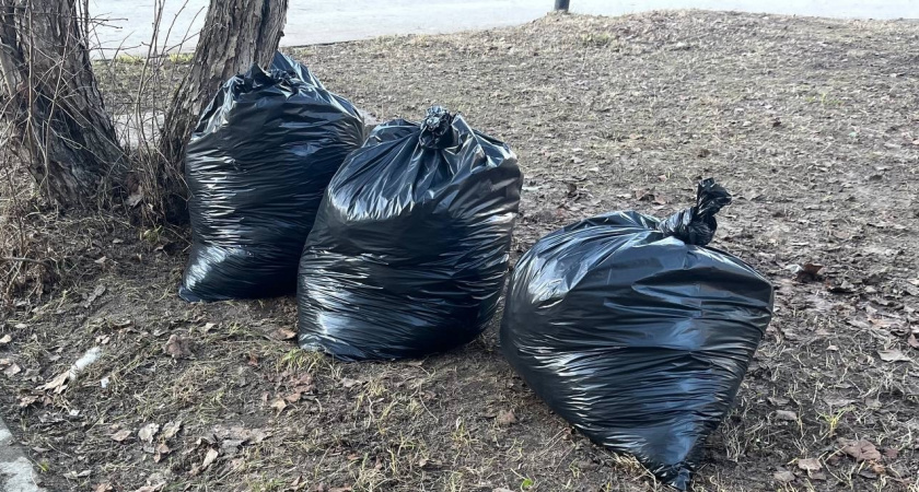 В Вологде "Чистые игры" собрали семь тонн мусора