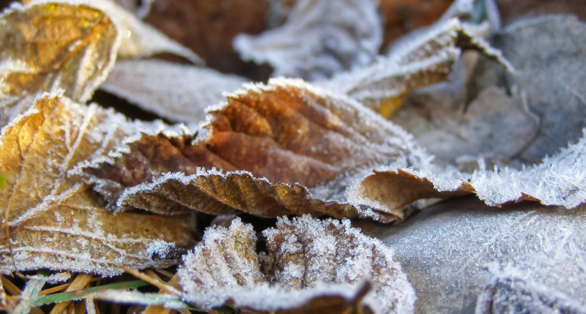 Заморозки, аномалии и обильные дожди: какой будет погода в регионах России в октябре