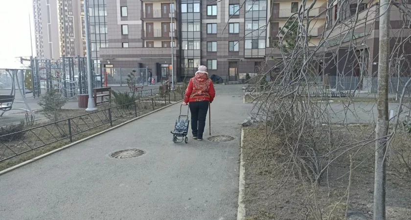 «Проверяют всех без исключения». Почему пенсионерам начали урезать стаж