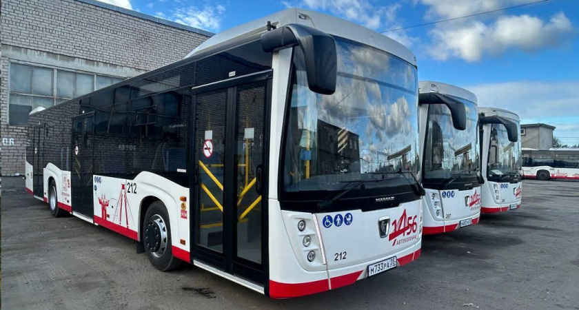 Вологодская область обновляет автопарк: на маршруты вышли новые автобусы и трамваи