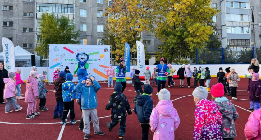 В Вологодской области открыли новую хоккейную площадку