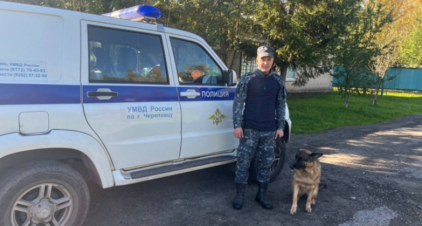 В Вологодской области овчарка Виктория Венеция Лайф помогла найти двух пропавших детей