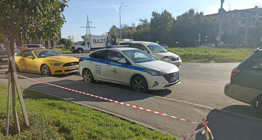 «Готовьтесь с завтрашнего дня»: у выехавших за город на авто начнут аннулировать водительские права