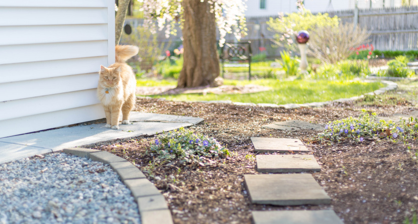 Почему нельзя асфальтировать двор перед домом: раньше я про это догадывался, теперь знаю точно. В США такие работы запрещены, и вот почему