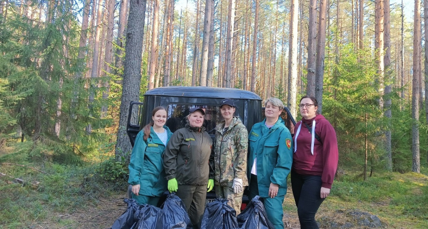 В Вологодской области в рамках субботников было ликвидировано свыше 120 кубометров мусора в лесах