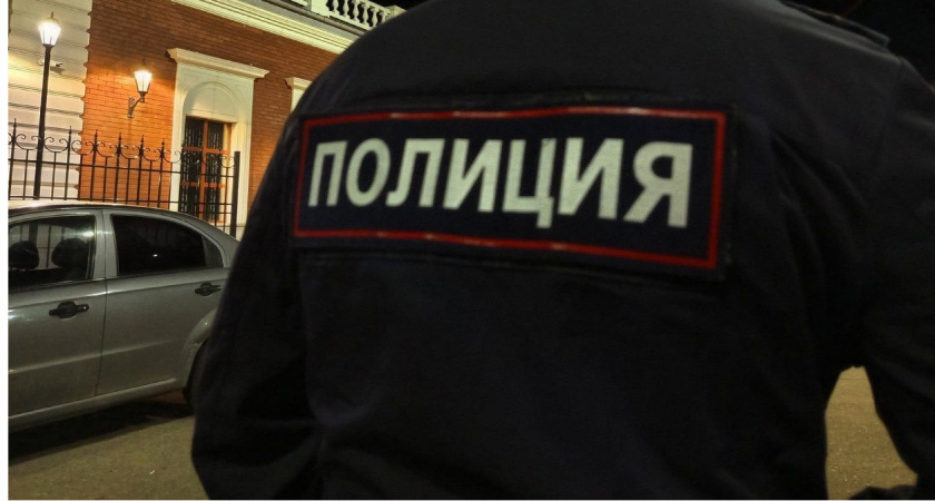 В Вологодской области полицейские нашли девочку, заблудившуюся в лесу