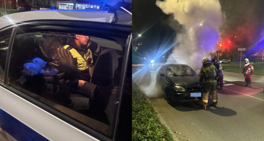 В Вологде спутница задержанного водителя подожгла автомобиль