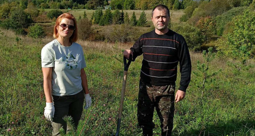 Тысячи сосен высаживают в Вологодской области участники акции "Сохраним лес"
