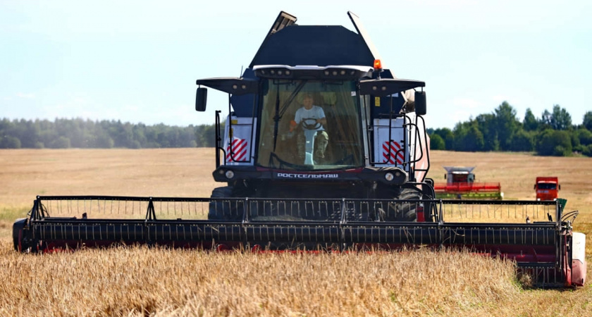 В Вологодской области установили рекорд по финансированию сельского хозяйства