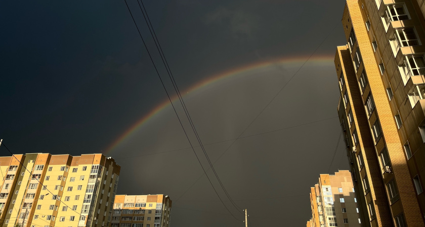 Вологодская область готовится к удару стихии: ливни, штормовой ветер и снег