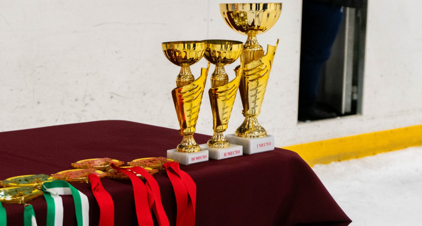 Вологодская область станет ареной соревнований каратистов и мастеров киокусинкай